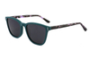 Gafas de sol de acetato-FG1562T