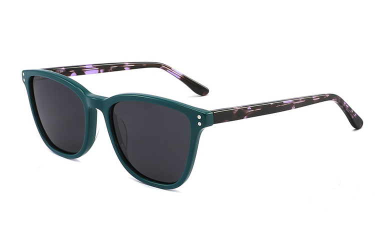 Gafas de sol de acetato-FG1562T