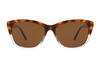 Gafas de sol de acetato-FG1363T