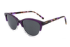 Gafas de sol de acetato-FG1366T