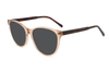Gafas de sol de acetato-FG1297T