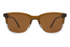 Gafas de sol de acetato-FG1369T