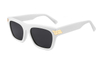 Gafas de sol de acetato-FG1436T