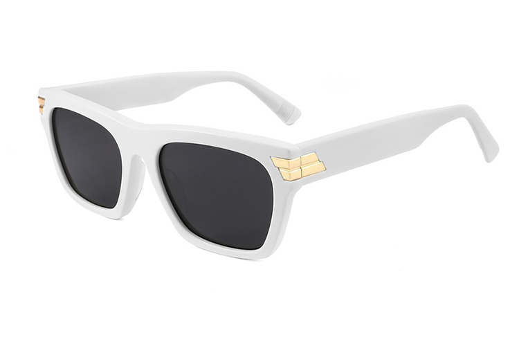 Gafas de sol de acetato-FG1436T