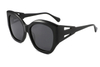 Gafas de sol de acetato-FG1503T