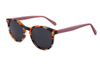 Gafas de sol de acetato-FG1569T