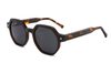 Gafas de sol de acetato-FG1563T