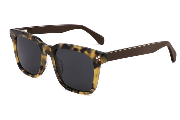 Gafas de sol de acetato-FG1568T