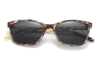 Gafas de sol de acetato-FG1299T