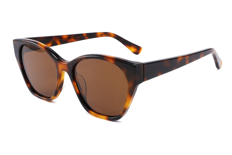 Gafas de sol de acetato-FG1227T