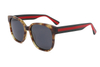 Gafas de sol de acetato-FG1329T