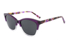 Gafas de sol de acetato-FG1365T