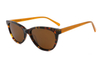 Gafas de sol de acetato-FG1367T