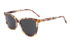 Gafas de sol de acetato-FG1296T