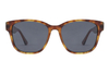 Gafas de sol de acetato-FG1327T