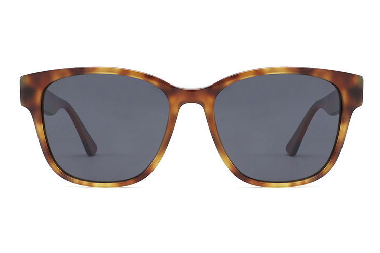 Gafas de sol de acetato-FG1327T