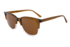 Gafas de sol de acetato-FG1369T