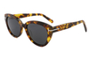 Gafas de sol de acetato-FG1458T