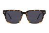 Gafas de sol de acetato-FG1561T