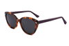 Gafas de sol de acetato-FG1567T