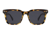 Gafas de sol de acetato-FG1568T