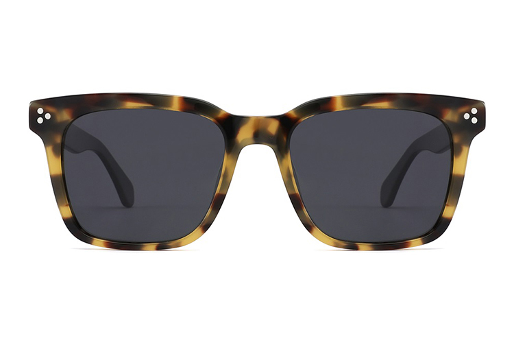 Gafas de sol de acetato-FG1568T