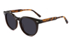 Gafas de sol de acetato-FG1521T
