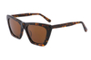 Gafas de sol de acetato-FG1233T