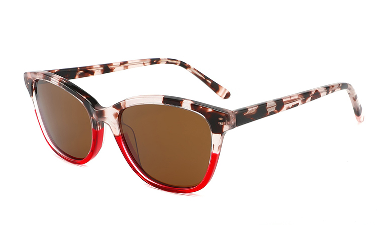 Gafas de sol de acetato-FG1364T