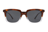 Gafas de sol de acetato-FG1370T