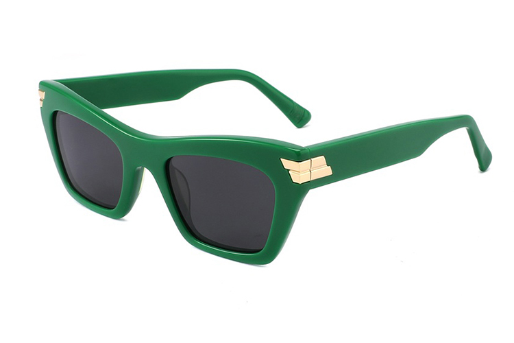 Gafas de sol de acetato-FG1437T