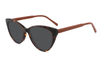 Gafas de sol de acetato-FG1298T