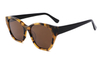 Gafas de sol de acetato-FG1227T