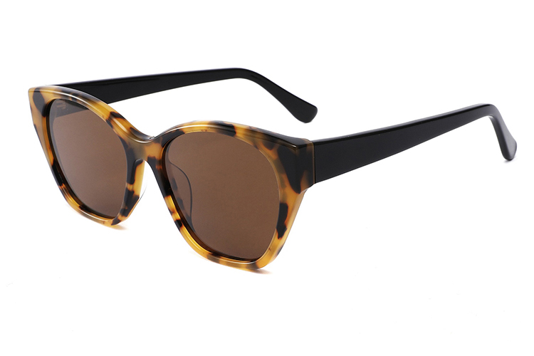 Gafas de sol de acetato-FG1227T