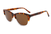 Gafas de sol de acetato-FG1363T