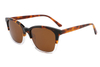 Gafas de sol de acetato-FG1368T