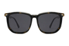 Gafas de sol de acetato-FG1524T