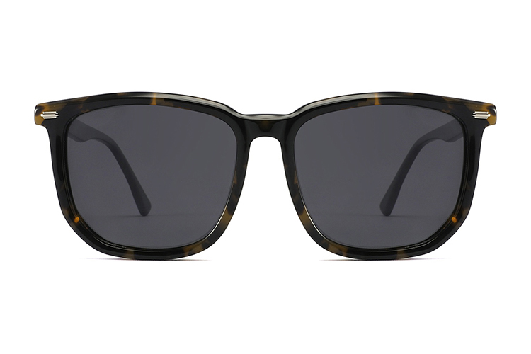 Gafas de sol de acetato-FG1524T