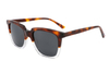 Gafas de sol de acetato-FG1370T