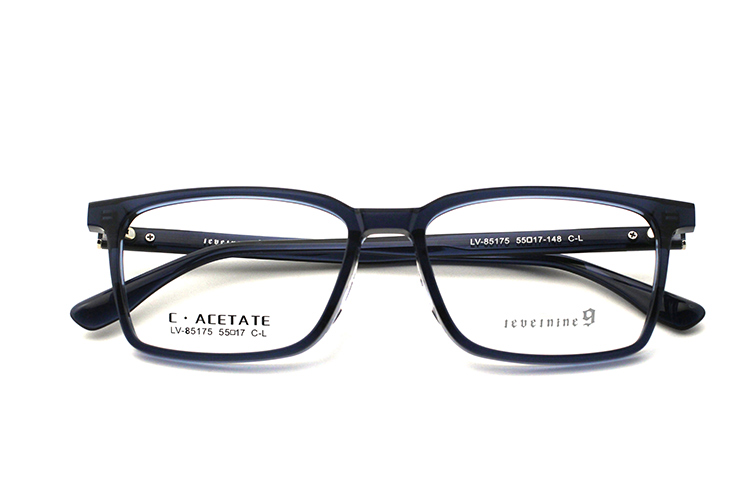 Monturas de gafas de acetato LevelNine 85175 (8) 