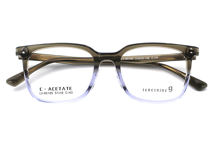 Monturas de gafas de acetato LevelNine 85185 (15) 