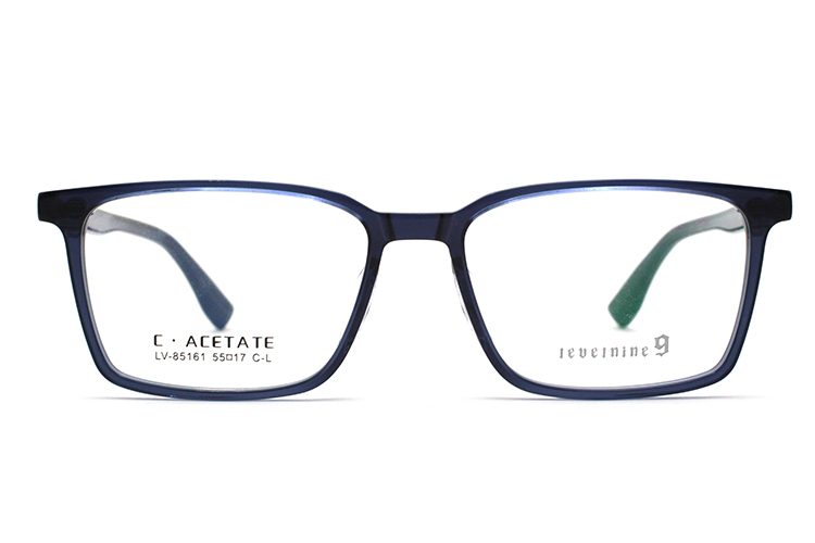 Monturas de gafas de acetato LevelNine 85161