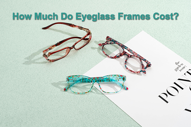 ¿Cuánto cuestan las monturas de gafas?