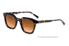 Gafas de sol de acetato-BAF2046LS