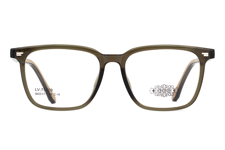 Venta al por mayor Monturas de gafas Tr90 75209