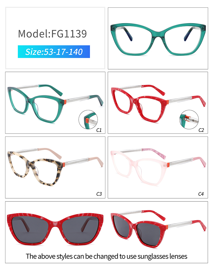 gafas con montura grande FG1139