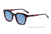 Gafas de sol de acetato-BAF2046LS