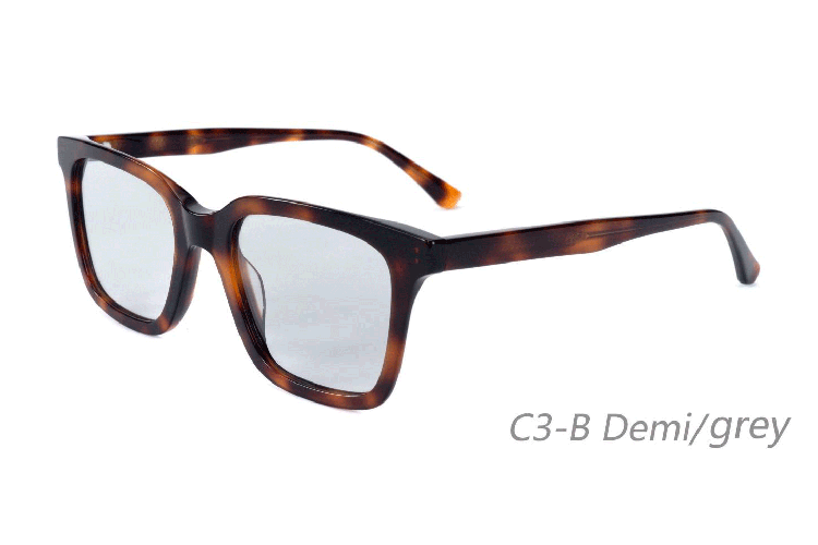 Gafas de sol de acetato-BAF5004S