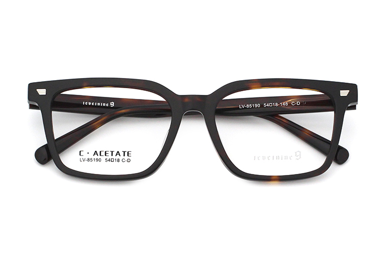 Monturas de gafas de acetato LevelNine 85190 (3)