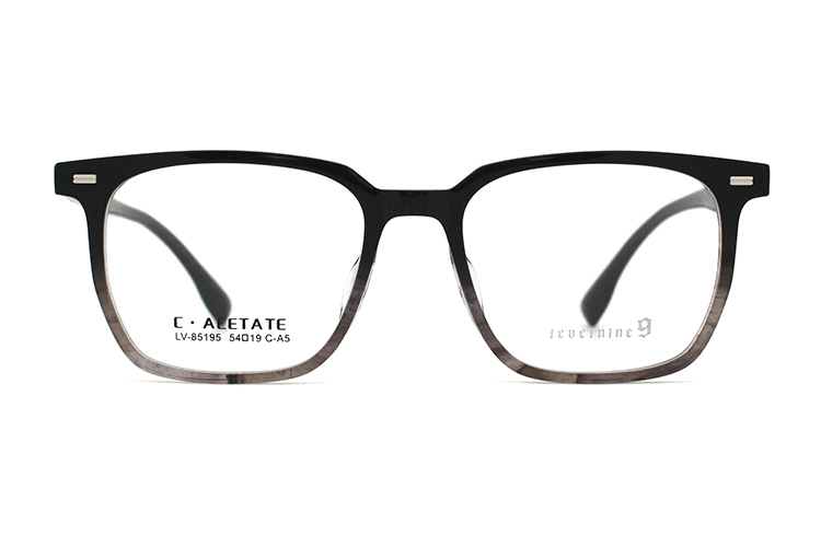 Monturas de gafas de acetato LevelNine 85195